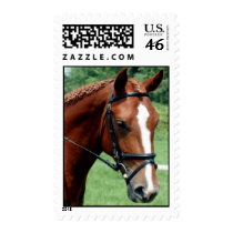 Wisdom postage