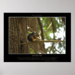 WISDOM Squirrel Poster posters