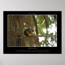 WISDOM Squirrel Poster