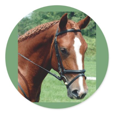 Wisdom Sticker by Horse_Play