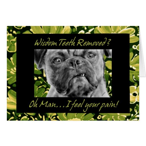 Wisdom Teeth Removal Get Well Card with Funny Dog Zazzle