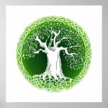 Wisdom Tree (green version) Print
