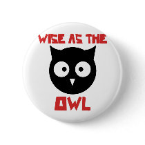 Wise as the Owl Pin