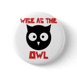 Wise as the Owl Pin