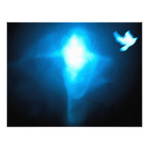 Wise Like Serpents, Gentle Like Doves Announcement