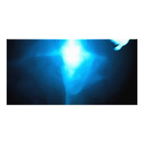 Wise Like Serpents, Gentle Like Doves photo cards by stanthos Wise Like Serpents, Gentle Like Doves photo cards