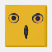 Wise Old Owl Eyes Fridge Magnets