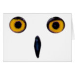 Wise Old Owl Eyes Greeting Cards