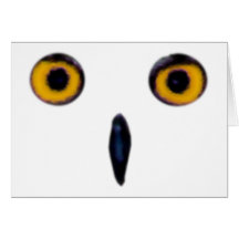 Wise Old Owl Eyes Greeting Cards