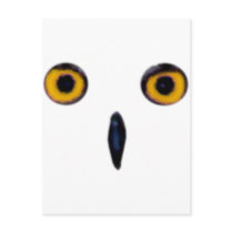 Wise Old Owl Eyes Post Card