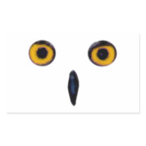 Wise Old Owl Eyes Rectangle Stickers