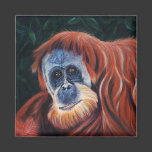 Wise One - Orangutan Fridge Magnets