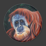 Wise One - Orangutan Magnet