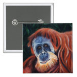 Wise One - Orangutan Pinback Buttons