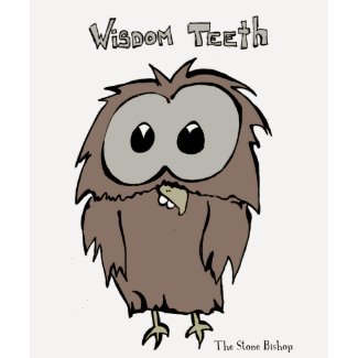 Wise Owl shirt