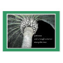 Wise Palm Tree ACEO Haiku Art Trading Card ------- business cards by Reflekshins Wise Palm Tree ACEO Haiku Art Trading Card ------- business cards