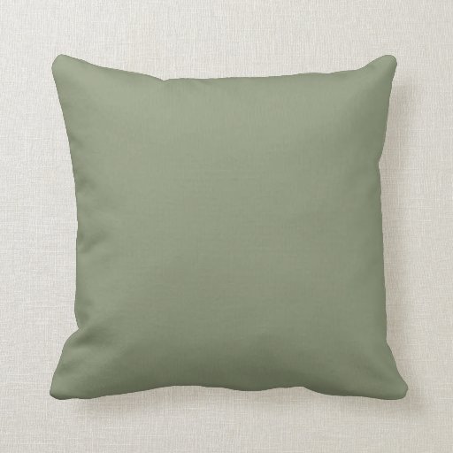 sage throw pillow