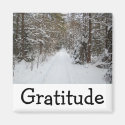 Wise Words Magnet: Gratitude Refrigerator Magnet