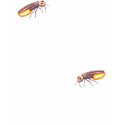 Wish I was a Firefly t-shirts