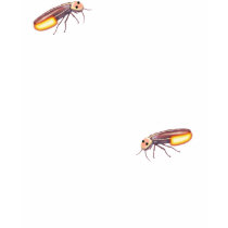 Wish I was a Firefly t-shirts by Spice Wish I was a Firefly t-shirts