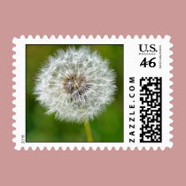 Wish stamps