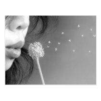 Wish postcards