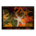 Wish Upon A Star Cards by Paintedlynx Wish Upon A Star Cards