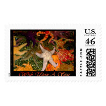 Wish Upon A Star Stamp
