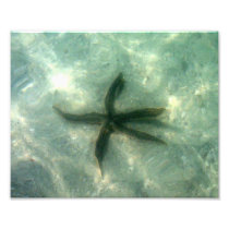 Wish Upon a Starfish Photo Print