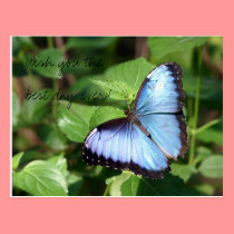 Wish you the best day ever! postcards
