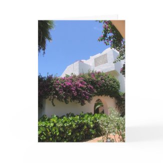 Anguilla Greeting Cards