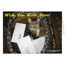 "Wish You Were Here" card cards