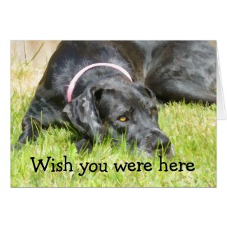 Wish you were here greeting card