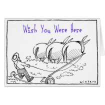 Wish You Were Here cards