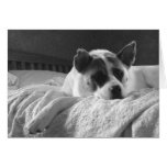 Wish you were here. greeting cards