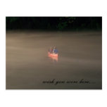 Wish you were here... post card