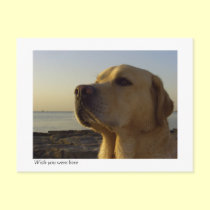 Wish you were here postcards