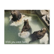 Wish you were here postcards by Minou1 Wish you were here postcards