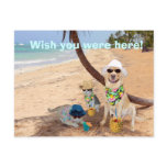 Wish You Were Here! Post Card