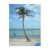 beach, palm tree, key west, smathers beach,