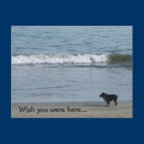 Wish you were here.... postcards by sumiko Wish you were here.... postcards