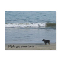 Wish you were here.... postcards