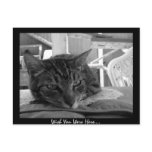Wish You Were Here postcards