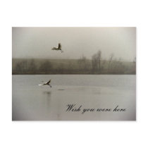 Wish you were here postcards