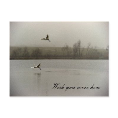 Wish you were here Postcard by Rainmountain