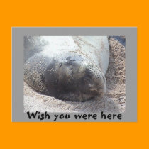 Wish You Were Here Postcard