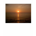 Wish you were here t-shirts by cdargatz Wish you were here t-shirts