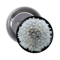 Wishes are Dandy buttons