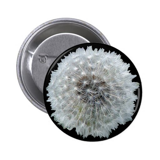 Wishes are Dandy Button Zazzle