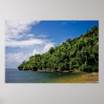 wishes ashore print